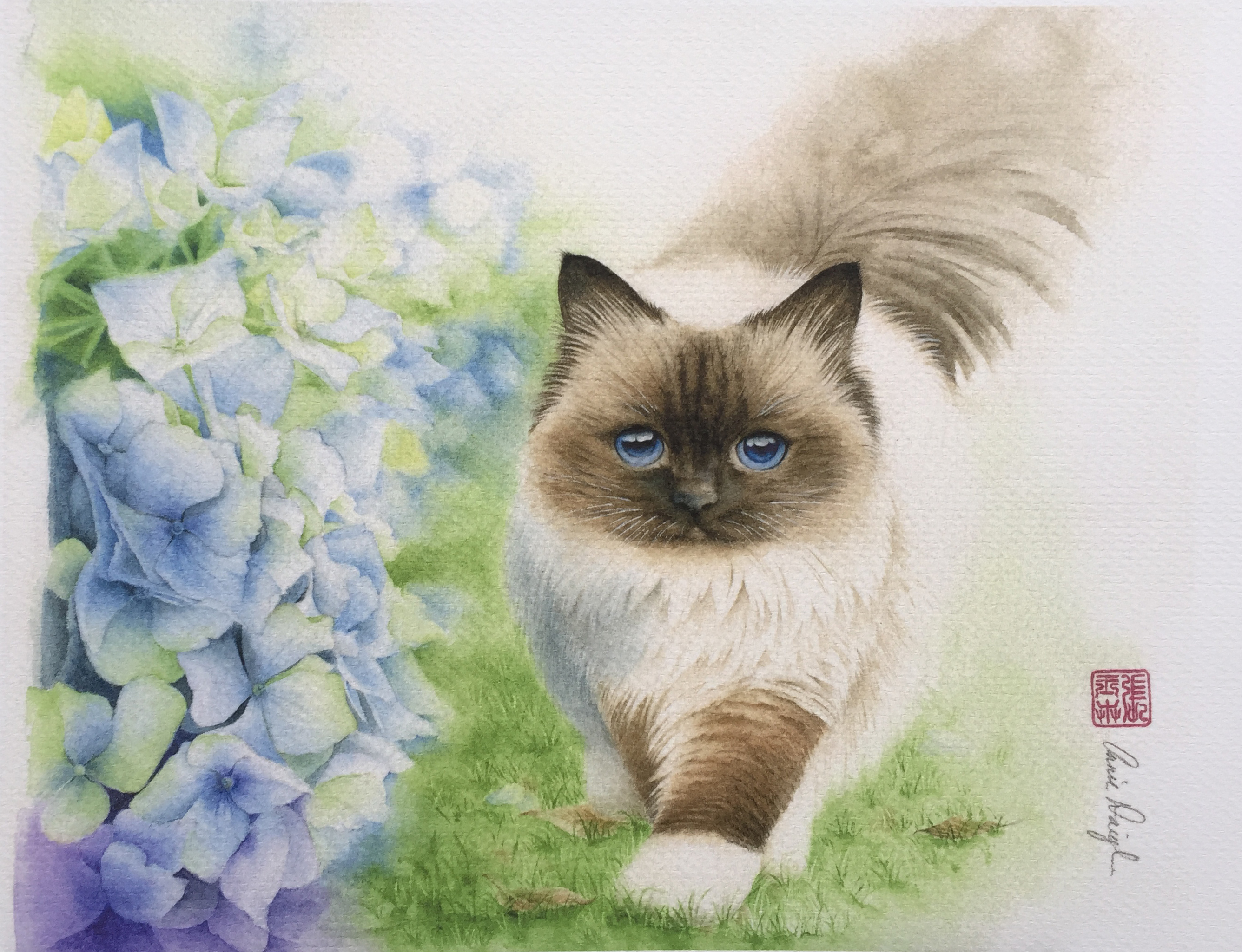 Artwork by Annie Daigle