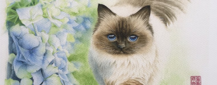 Artwork by Annie Daigle